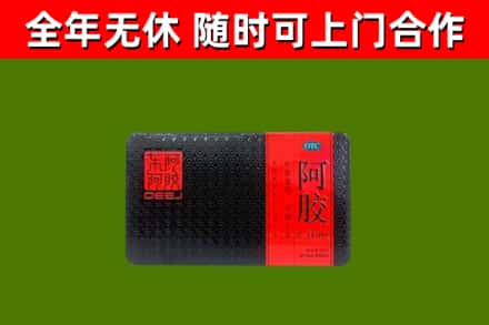郧阳区回收阿胶